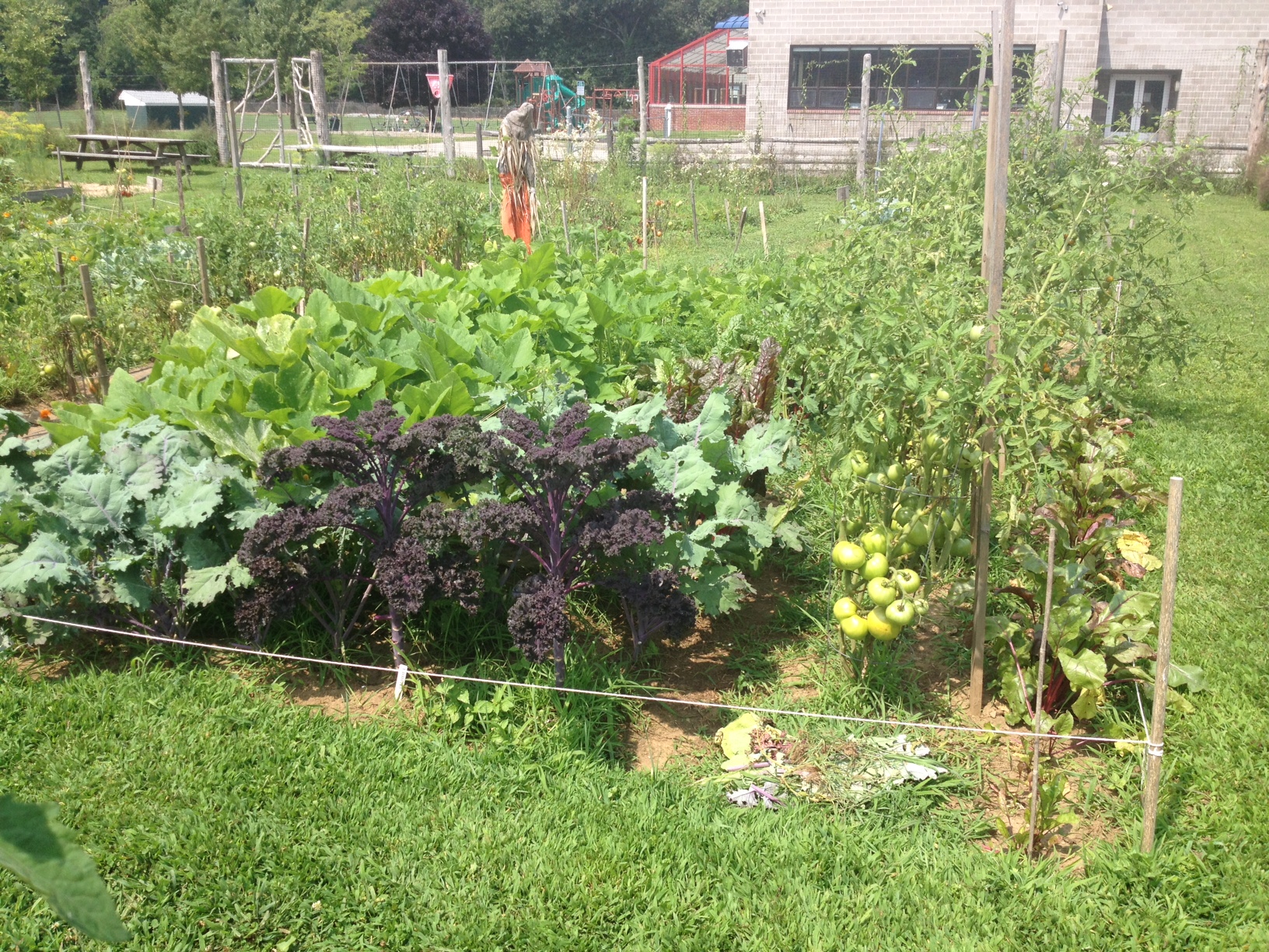 Community Garden kentlandtrust