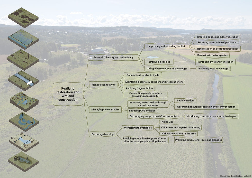 Figuren viser strategier for å restaurere myrområder og konstruere våtmarksområdet (illustrasjon: M. Ghadimi)