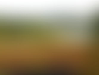 Ledende forskningsmiljøer bekymret for motstand mot ny lov om naturrestaurering og EUs grønne giv