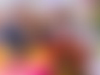Vedações e Festa vulgarizada: Temos Trump local, diz Jardim