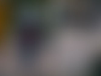 Mau tempo na Madeira até 10 de abril