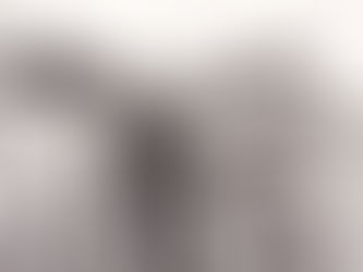 Autonomia: o presidente convictamente discreto