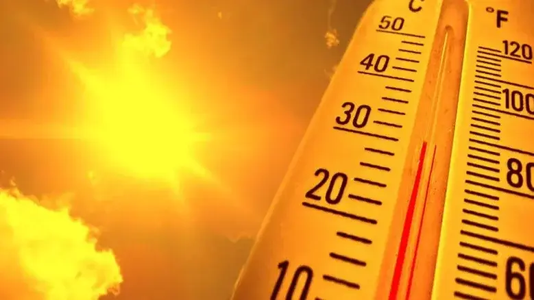 IPMA alerta para vento e risco de incêndios rurais na Madeira