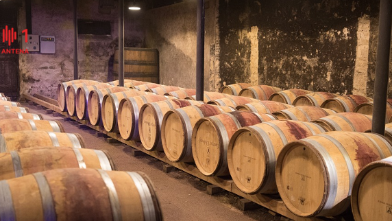 Adega de Interesse Regional e 2,5 milhões para veículo da ARDITI