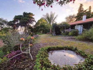 Herdeiro de Lourdes de Castro vende casa ao Governo mas a valores de mercado