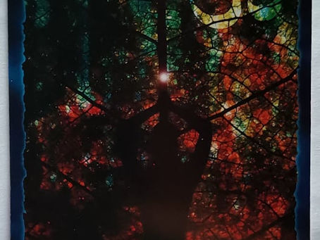 Carte de la Semaine du 14/06/21