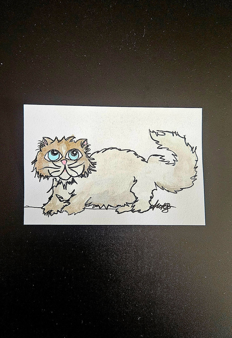Thumbnail: Adorable Pet Caricatures