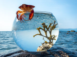 The Lenses We Live Through: Exploring Perception & the Questions you're not Asking.
