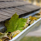 istockphoto-1189383491-612x612.jpg