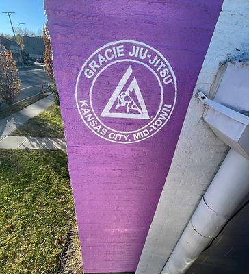 astronomical ink custom hand-painted mural pow martial arts studio Kansas City missouri muralists