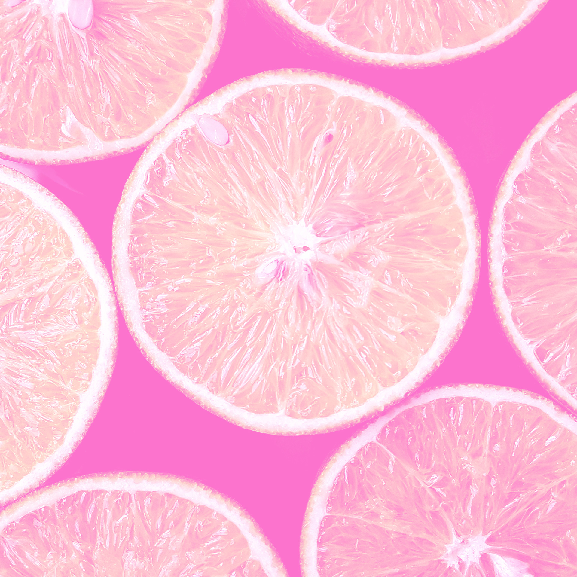 Pink Citrus Slices