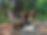 IMG_7780-preview.HEIC