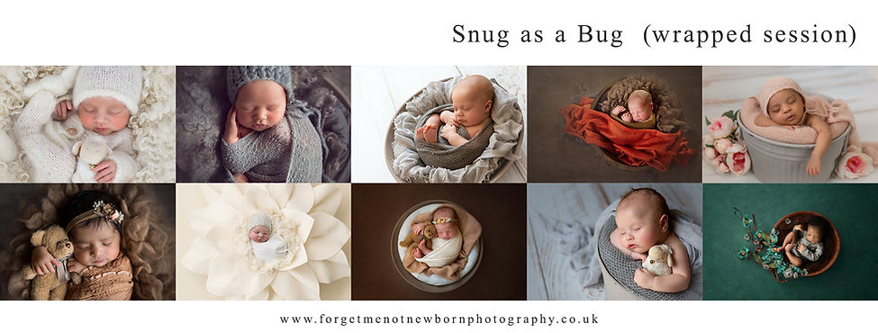 Snug as a bug newborn session