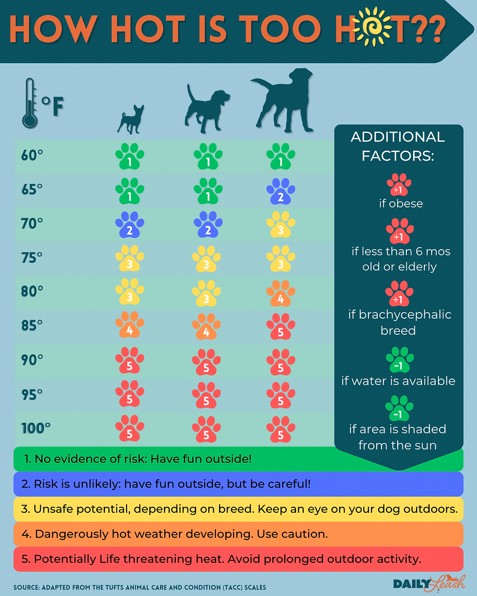 Chart titled "How Hot is Too Hot?" shows temperature risk levels for dogs, with paw icons and color codes. Includes additional risk factors.