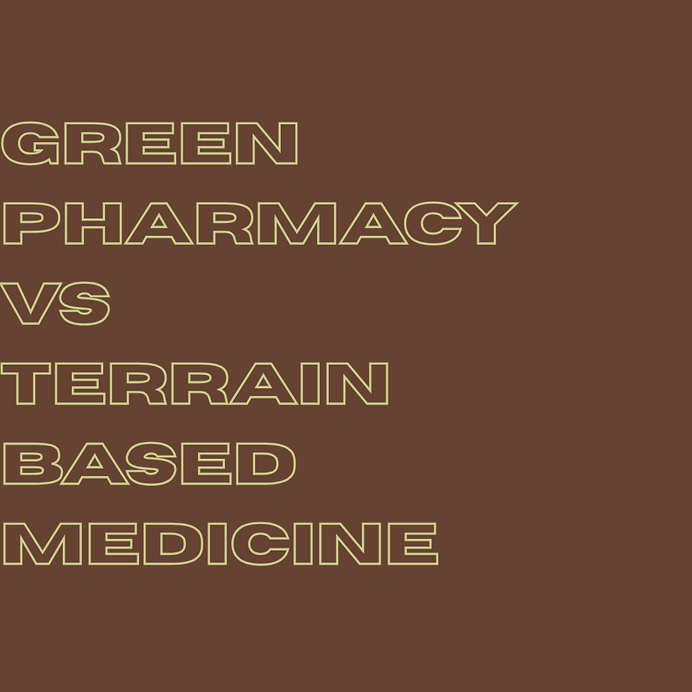 GREEN PHARMACY VS TERRAIN BASED MEDICINE.