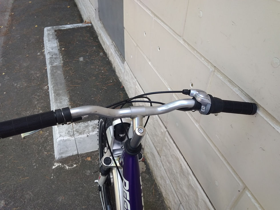 Миниатюра: Велосипед Pegasus