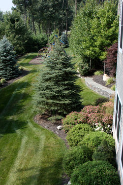 Ridgemont Drive_5443.jpg