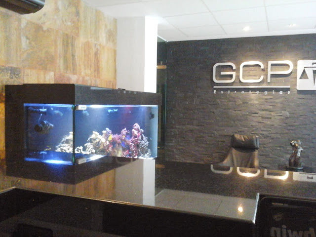 ESTANCIA DE TU EMPRESA