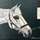 Miniature : Tableau Cheval
