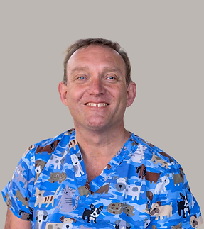 Predictions David v2.png