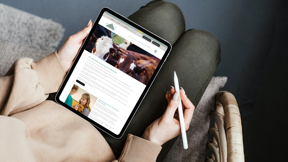 Practice Made Purrfect: Copywriting for Northvet