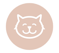 Fun 400 x 400 px.png