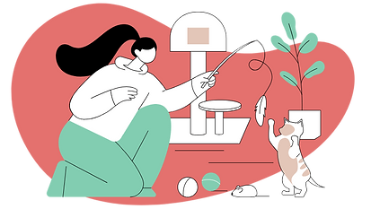 Pet Health Plans 800 x 450 px.png