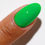 Thumbnail: DND/DC One In A Melon #2524 - Free Spirit Collection