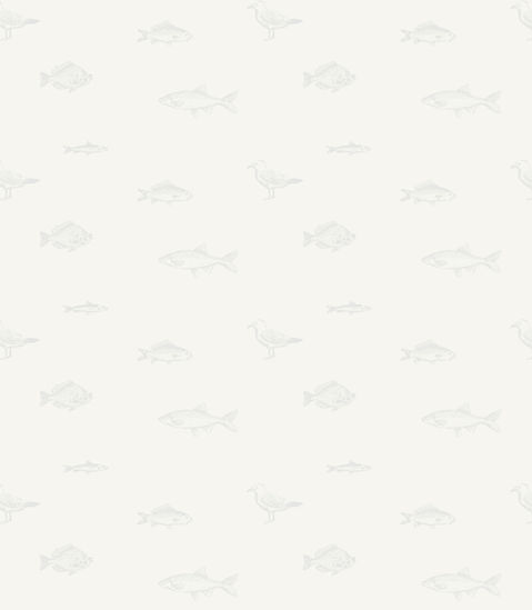 fond-poissons_clair.jpg