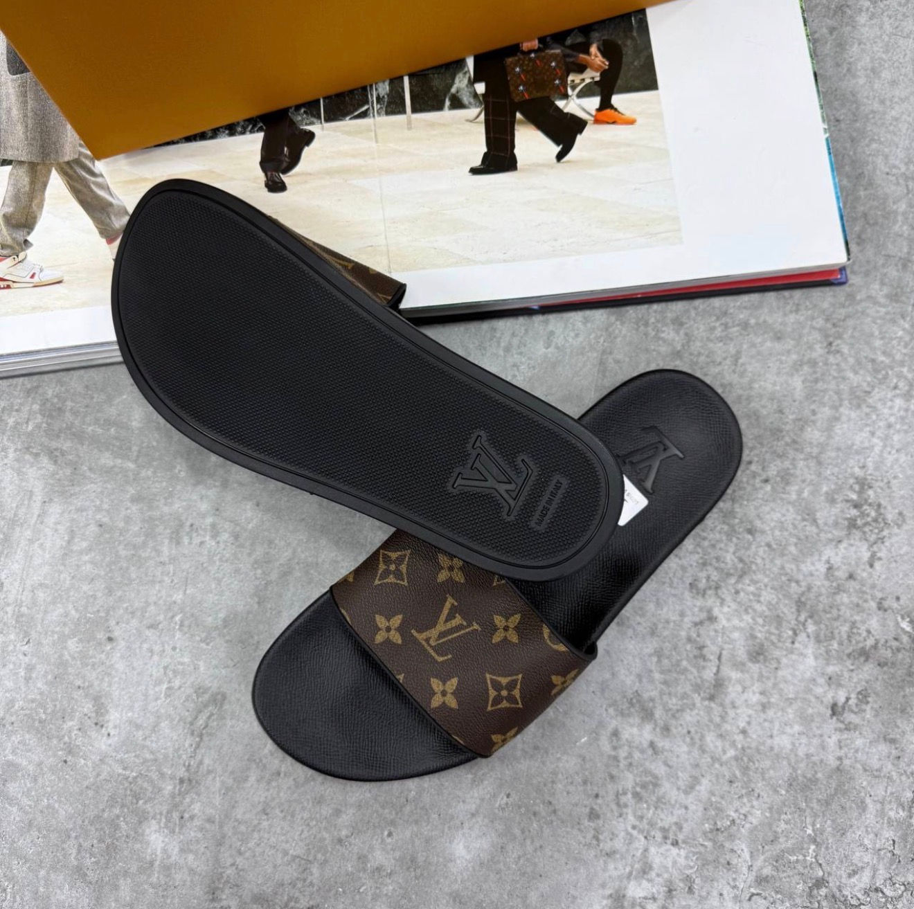 LVE Slides - Brown