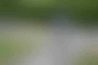 image by classical music concert photographer michael whitefoot