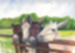 Sue Podbery Four Curious Donkeys puzzle by grovely puzzles