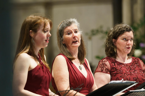image by classical music concert photographer michael whitefoot