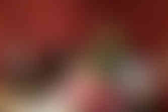 image by classical music concert photographer michael whitefoot