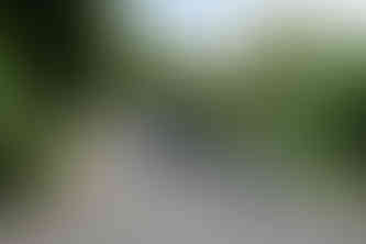 image by classical music concert photographer michael whitefoot