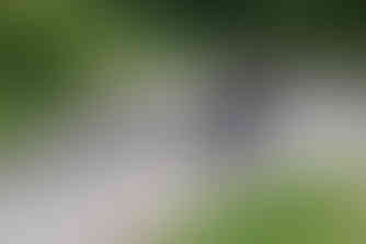 image by classical music concert photographer michael whitefoot