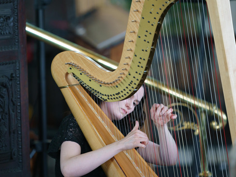 image by classical music concert photographer michael whitefoot