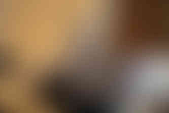 image by classical music concert photographer michael whitefoot