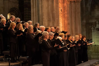 image by classical music concert photographer michael whitefoot
