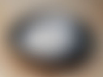 南浜 海のいきもの図鑑 アカヒゲ