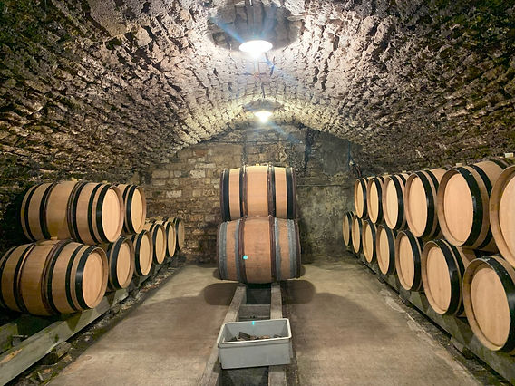 販売開始】ヴァンサン・ドーヴィサ 2023新ヴィンテージ他、少量入荷！