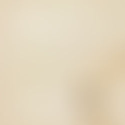 ブウション初売り1/5（月）より販売開始