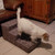 Thumbnail: Pet Steps