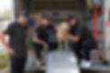 DSCF9518.jpg