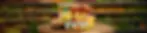 banner meio v2.webp