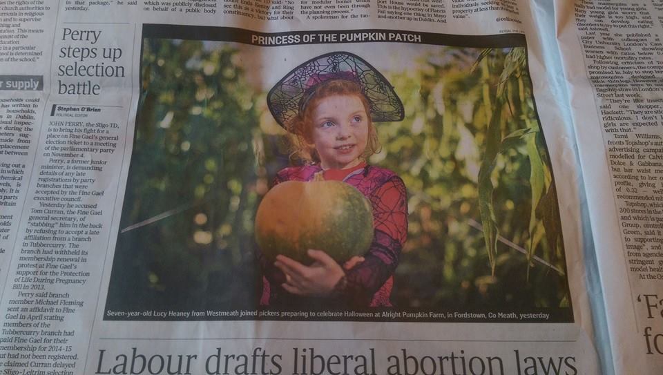 Pumpkin Patch Irish Times 2015