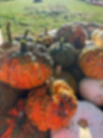 Knucklehead Pumpkins