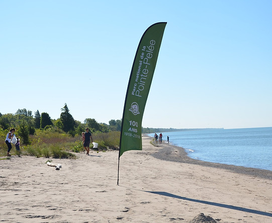 Point Pelee National Park - Feather flag 2