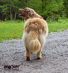 Phoenix back_edited.jpg