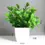 Thumbnail: Artificial Bonsai Green Fake Plant Eucalyptus Flower Potted Plant for Indoor Out